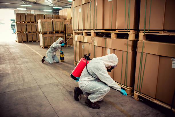 Best Emergency Pest Control  in Kohler, WI
