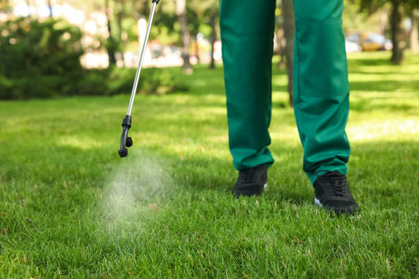 Best Flea Control Services  in Kohler, WI