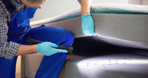 Best Rat Extermination Near Me  in Kohler, WI