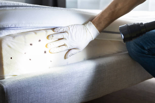 Pest Control for Restaurants in Kohler, WI