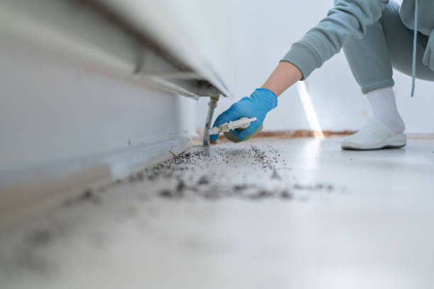 Best Pest Removal Services  in Kohler, WI