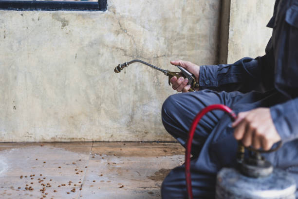 Best Best Pest Control Companies  in Kohler, WI