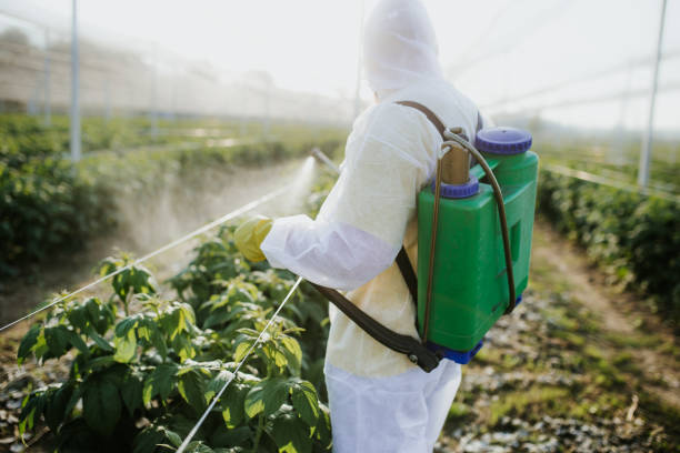 Best Commercial Pest Control Services  in Kohler, WI